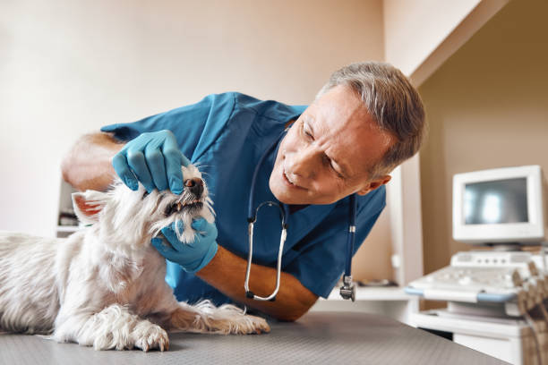 Best Dentist Open Late Near Me  in High Bridge, WA